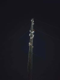 بور بيم • روكت • برج منصوب