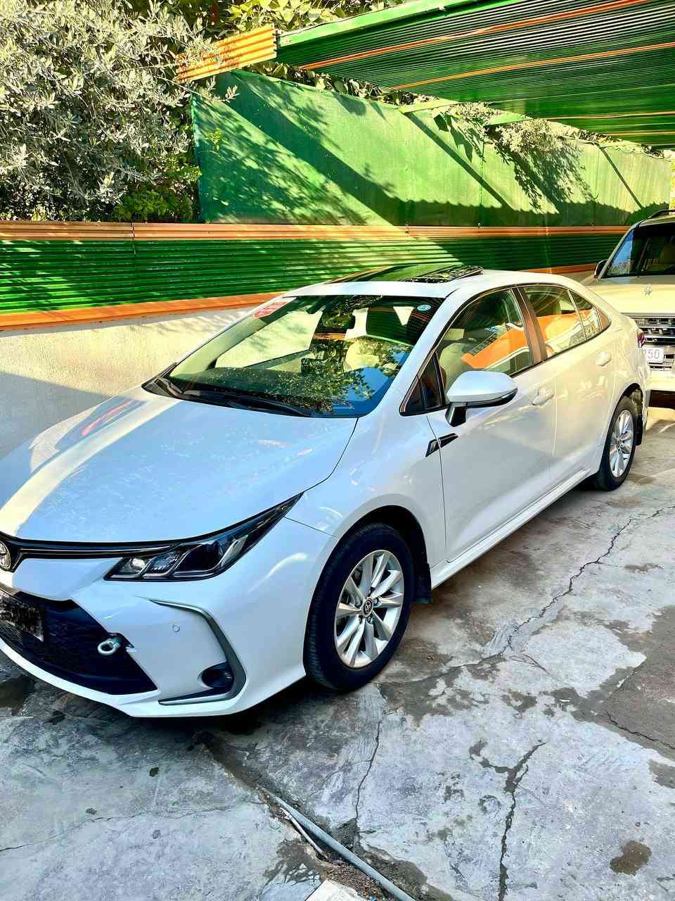 كـورلا خـلـيـجـي ياباني ضمان شركة ساز  موديل 2024  الـسـعـر 185 ورقة وبيها مـجـال مـكـفـولـه كفالة عامة عدا صبغ الدعامية للجمالية اثر شخوط  .  كـار بـلـي كـامـرة شـاحـن لاسلكي فـتـحـة فـول موصـفـات الـون ابيض صـدفـي ومـاكـو هـيـج سـعـر بـيـع سـريـع تـريـد تـحـويـل تـريـد وكـالـه  الـعـنـوان بـغـداد الـدورة شارع المصافي . 
 ***********  . *********** 
أبـو فــهــد الـجـمـيـلـي ☆
