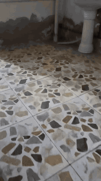 طابق أرضي • غرفتين • مشتمل