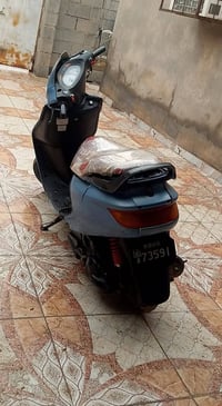 فراشة • فحل • البصره