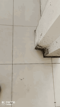 خلفه سيراميك جداري ارضي من بغداد متفرغ حالين ***********
