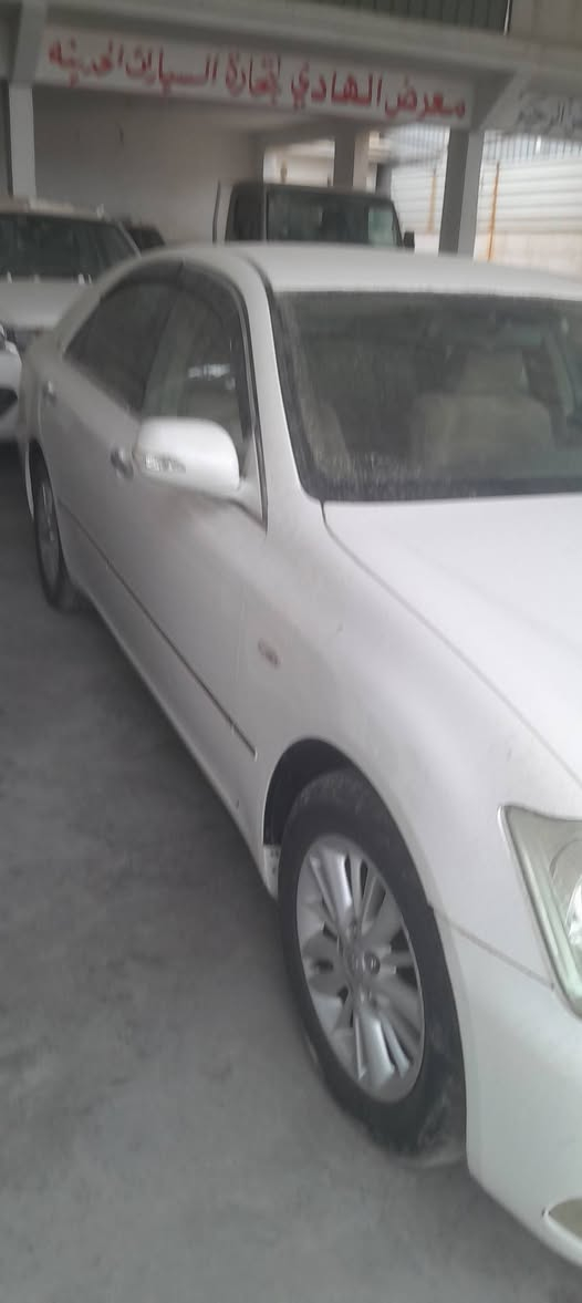 شاهينه قماره فقط
