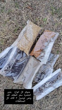 للاستفسار • تواصل بالخاص