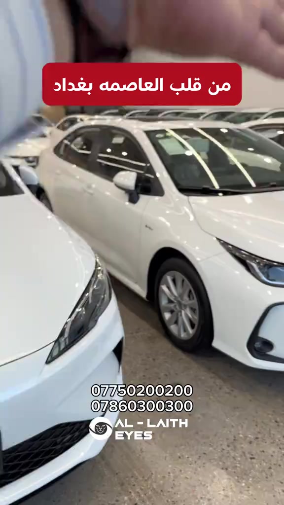 اليوم صرنا اقرب إلكم بخطوه 🌹 أوسع تشكيلة سيارات هايبرد وبلك ان هايبرد من byd و تويوتا و سيارات كيا متوفره الان في شركتنا في البياع - عيون الليث لتجارة السيارات. بأنسب الاسعار في وطننا الحبيب ومواصفات خاصه لراحتكم ودعمكم بالصيانه مدى الحياه 🎊 لأننا كما عودناكم - أن علاقتكم معنا تبدأ في لحضة اختياركم لنا -تبدأ لا تنتهي عند الشراء 🌹.  📞 *********** 📞 *********** 📍 البياع - شارع المعارض الرئيسي #BYD_سبورتاج_2026 #KiaSportage #عيون_الليث_لتجارة_السيارات #سيارات_العراق #سيارات_2026 SUV رحلات_وسفر

