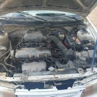 سيفيه • ١٩٩٥ • ديالى