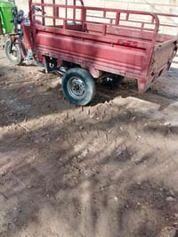 ستوتة موديل ١٤ • أوراق كاملة • ديالى الخالص