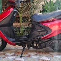 فراشة • شغاله • زبير