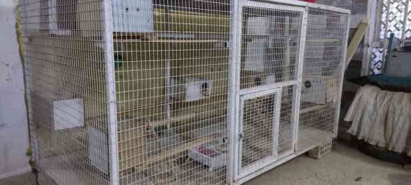 نانو شبكه. وقفص تسكام حديد جديد
***********
