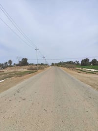 ٤دونم • بابل النيل سريديب • عقد ١١٧