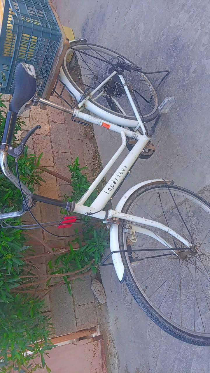 للبيع 75


**إذا كنت صاحب هذا الإعلان وتريد حذفه لأي سبب، رجاءا أرسل رسالة إلى الدعم الفني**