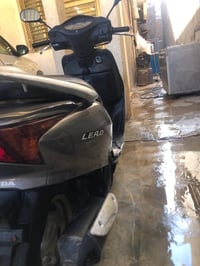 ليدي • ماطور نضيف • كفر جديد