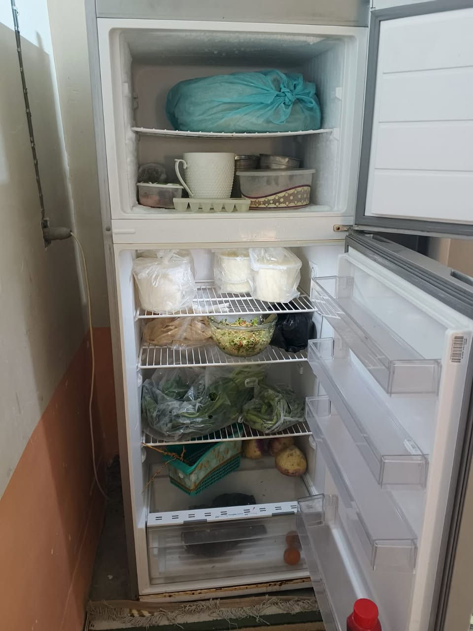 ثلاجه حجم ٢٤نضيفه مال بيت نوعيه فستل


**إذا كنت صاحب هذا الإعلان وتريد حذفه لأي سبب، رجاءا أرسل رسالة إلى الدعم الفني**