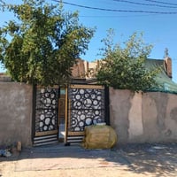 ابو غرق يم دهين • ٢٥٠م • سند ٢٥