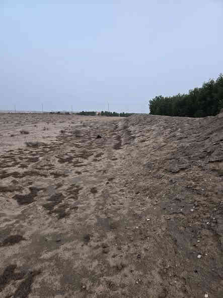 السلام عليكم
٦ دوانم للبيع بيهن كهرباء وطنيه سعر الدونم ٦ ملايين 
العنوان طريق سفوان زبير النزله قرب معمل بلوك ديالى تبعد عن الشارع ٢ كيلو
***********
