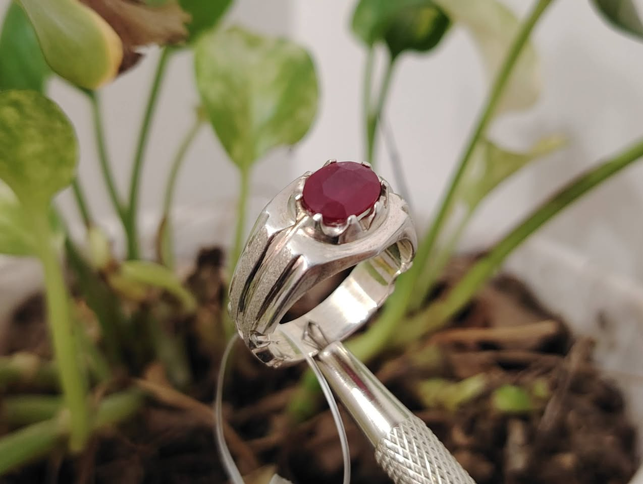 خاتم من الياقوت الأفريقي الأحمر فرط الرمان الطبيعي
صياغه ثقيلة وجميلة فضه عيار ٩٢٥
يوجد توصيل إلى جميع المحافظات
التواصل ع الخاص او ع الواتساب ***********
