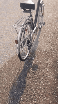 باسكل • حجم ٢٦ • موديل ٢٠١٨