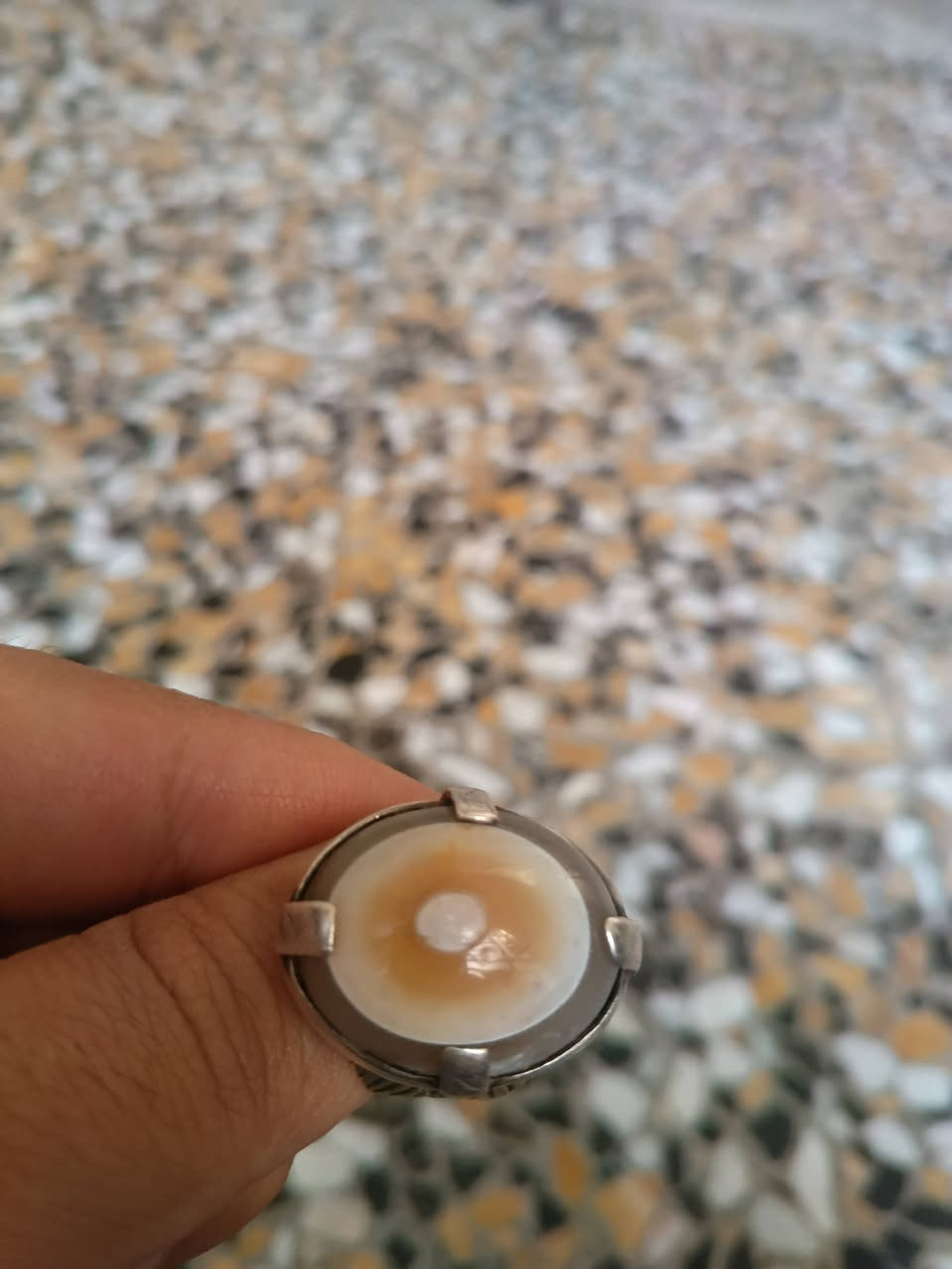 بقري للبيع السعر 65    ***********
