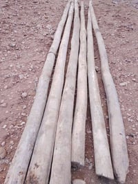 ديكور منزلي • حديقة