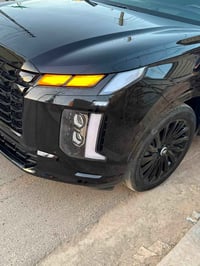 باليسايد • ٢٠٢٤ • حادثه