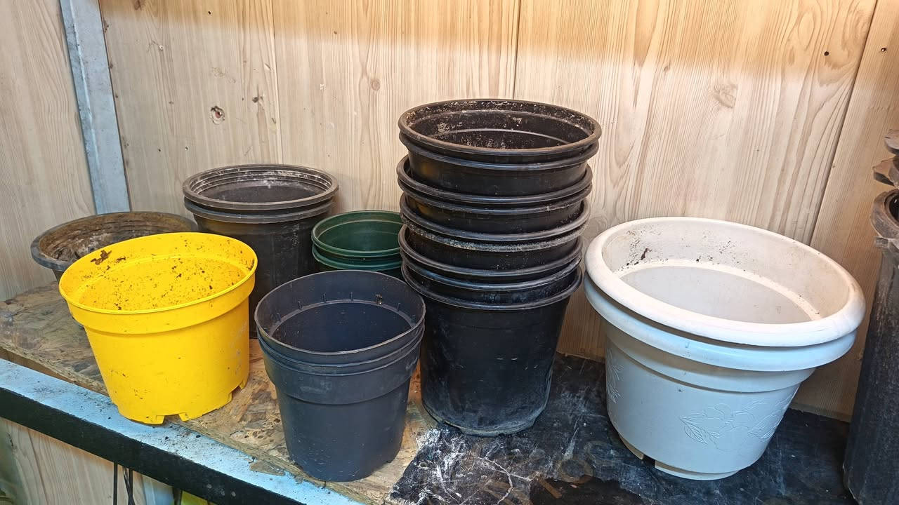 ١٢٠ سندانه منوع الاحجام نايلون مستعملات
بيهن حجم كبير وسط وصغير كلهن شلع ب٥٠ الف دينار


**إذا كنت صاحب هذا الإعلان وتريد حذفه لأي سبب، رجاءا أرسل رسالة إلى الدعم الفني**