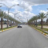 طوزخورماتو • حملة تشجير • ٧٥٠٠٠شجرة