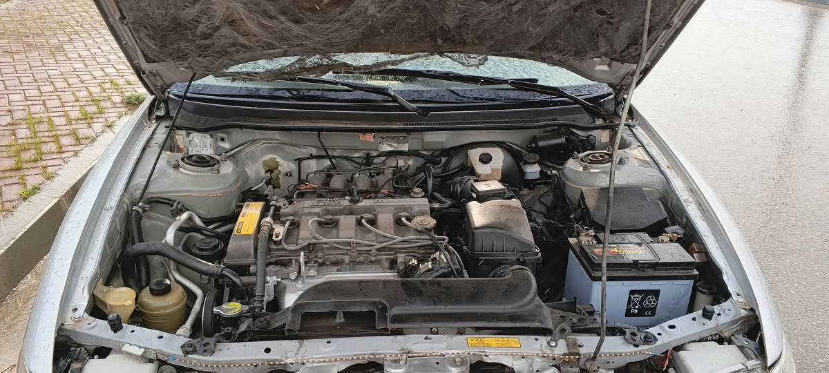 مازدای فاسۆڵی    مۆدێل 1993  مەکێنەی بیلادی    کێرو مەکێنە بەشەرت  تەبرهێت    سنەوی تا 2030تازەیە   سیارەکە نەموونەیە ڵەجوانی   ماشااڵلە   زۆر خاوێنە   سعر 53 كركوك, العراق


**إذا كنت صاحب هذا الإعلان وتريد حذفه لأي سبب، رجاءا أرسل رسالة إلى الدعم الفني**