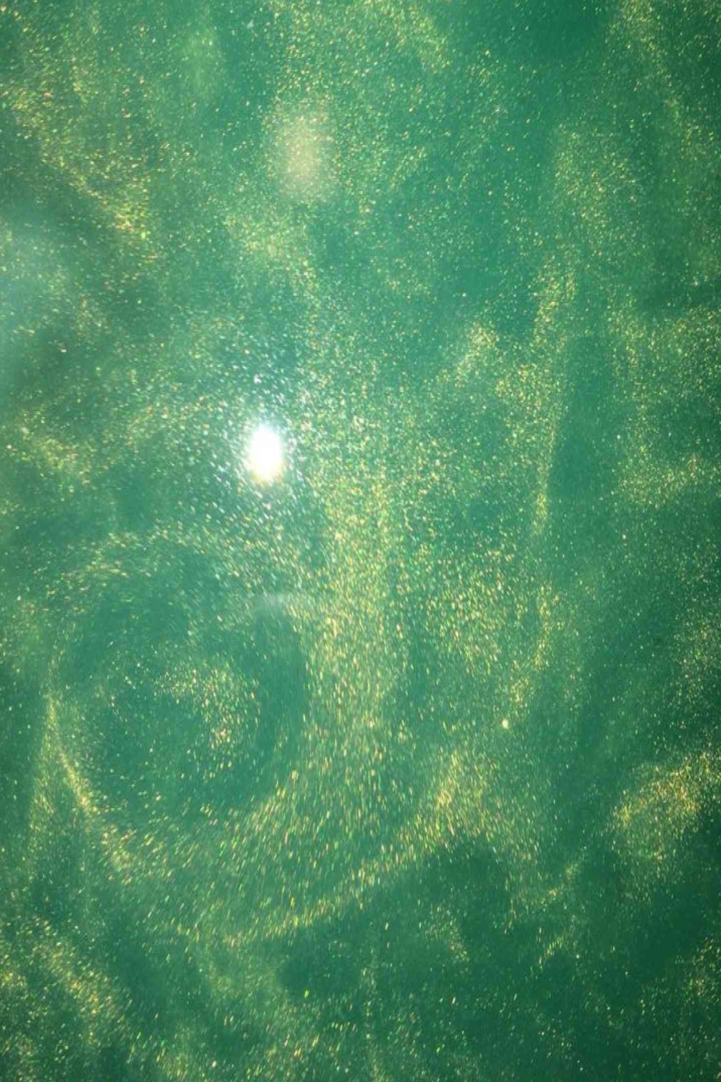 ⁨	اوراق خلفيات جورنال 💚 المجموعه الثانية ✨ العدد :10 قطع  ورق حجم A5 السعر :1،000 د.ع 💫 التوصيل متوفر اجميع محافظات العراق 🇮🇶 النجف 3 الاف وباقي المحافظات 5 الاف 🌷 #جورنال #جورنال_ارت #جورنال_أفكار 


**إذا كنت صاحب هذا الإعلان وتريد حذفه لأي سبب، رجاءا أرسل رسالة إلى الدعم الفني**