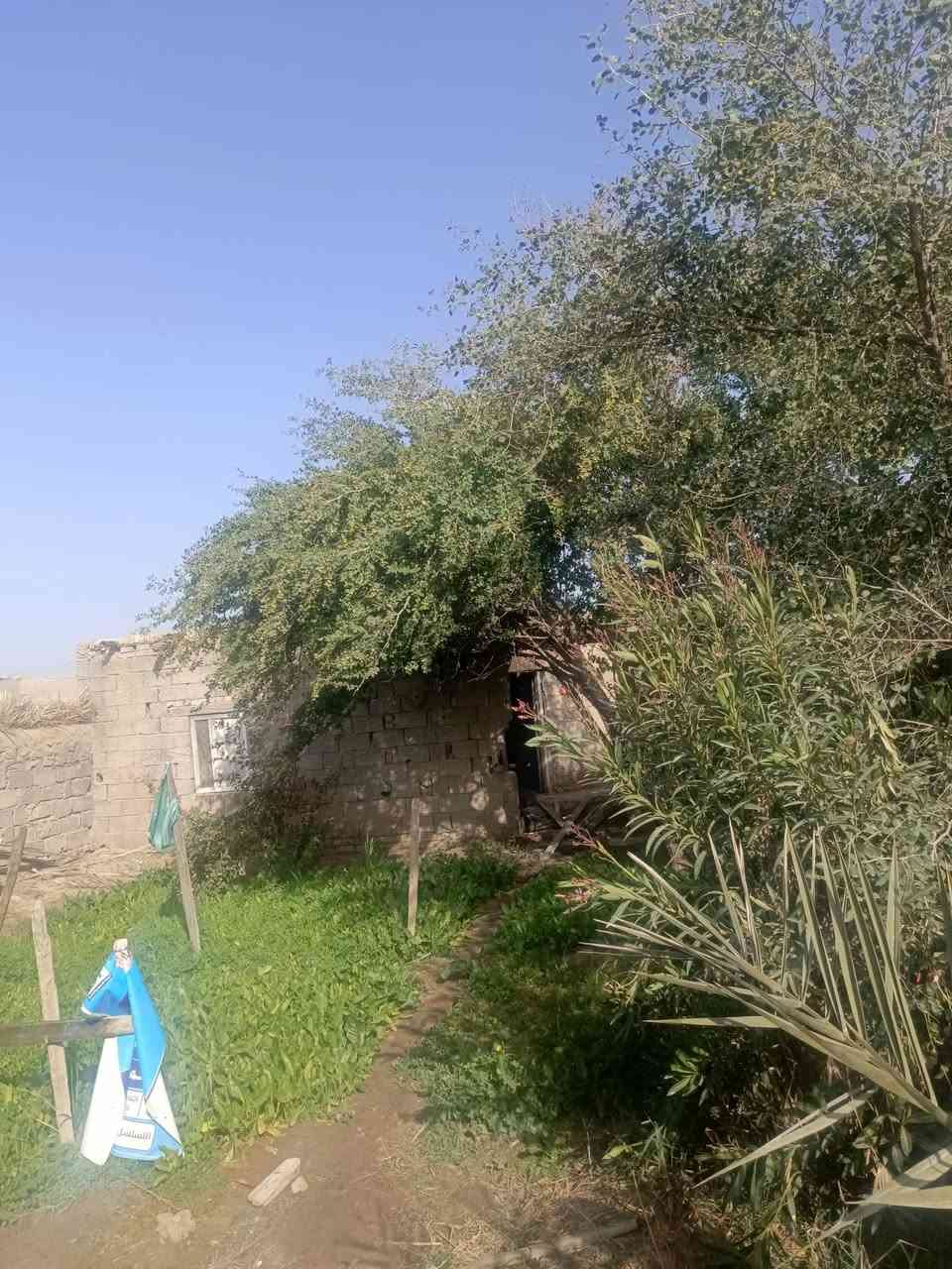 بيت زراعي للبيع الرفاعي صوب بني ركاب منطقة سيد مناحي قرب شارع ثلاثين المساحه 270متر السعر 15وبيه مجال للاستفسار الاتصال على الرقم التالي ***********
