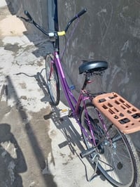 باسكل • نضيف • بغداد المحموديه