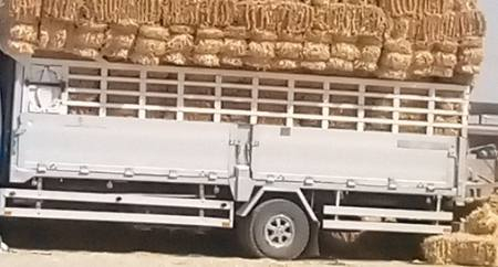 سلام عليكم بدي هينو طول 6وربع عرض مترين وعشره مراوس بدي اعرض بيع عادي رقم ***********
