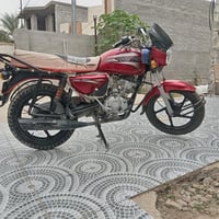 بوكسر • موديل 2018 • أوراق أصلية