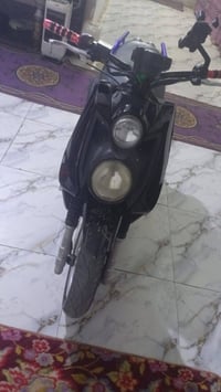 سكنس جبلي • ٤اشهر • كفاله عامه