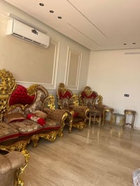 تخم مصري • ١٢ مقعد • البلديات