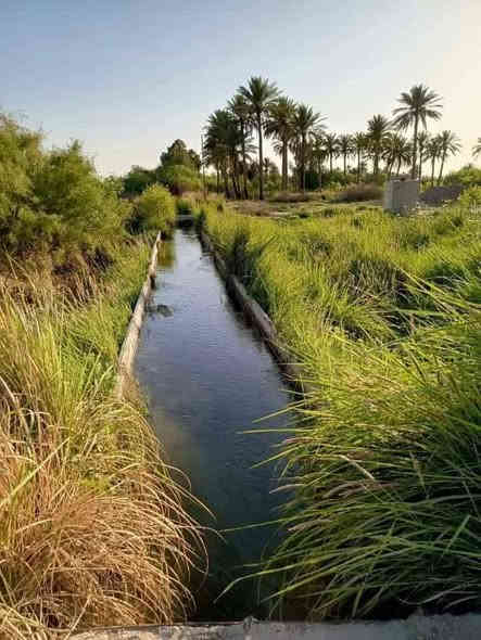 دوانم جميله موقع جيد التاجي ذراع دجلة طابو سند 25 خدمات كاملة ماء اسالة وسقي وكهرباء وسوق مدارس منطقة ريف كلش حلوه الحياة هنا تختلف عيش برفاهيه                (اخذلك 3دونم 7500 متر او 4 دونم 10000 متر سعر الدونم 30  مليون )
رتب بيهة مزرعه عائليه ترتاح كلش البناء مسموح سوق مدارس كلش حلوه المنطقة وقريبه على بغداد 
اي استفسار بخصوص الدوانم على الرقم *********** واتساب 🌴🌴
