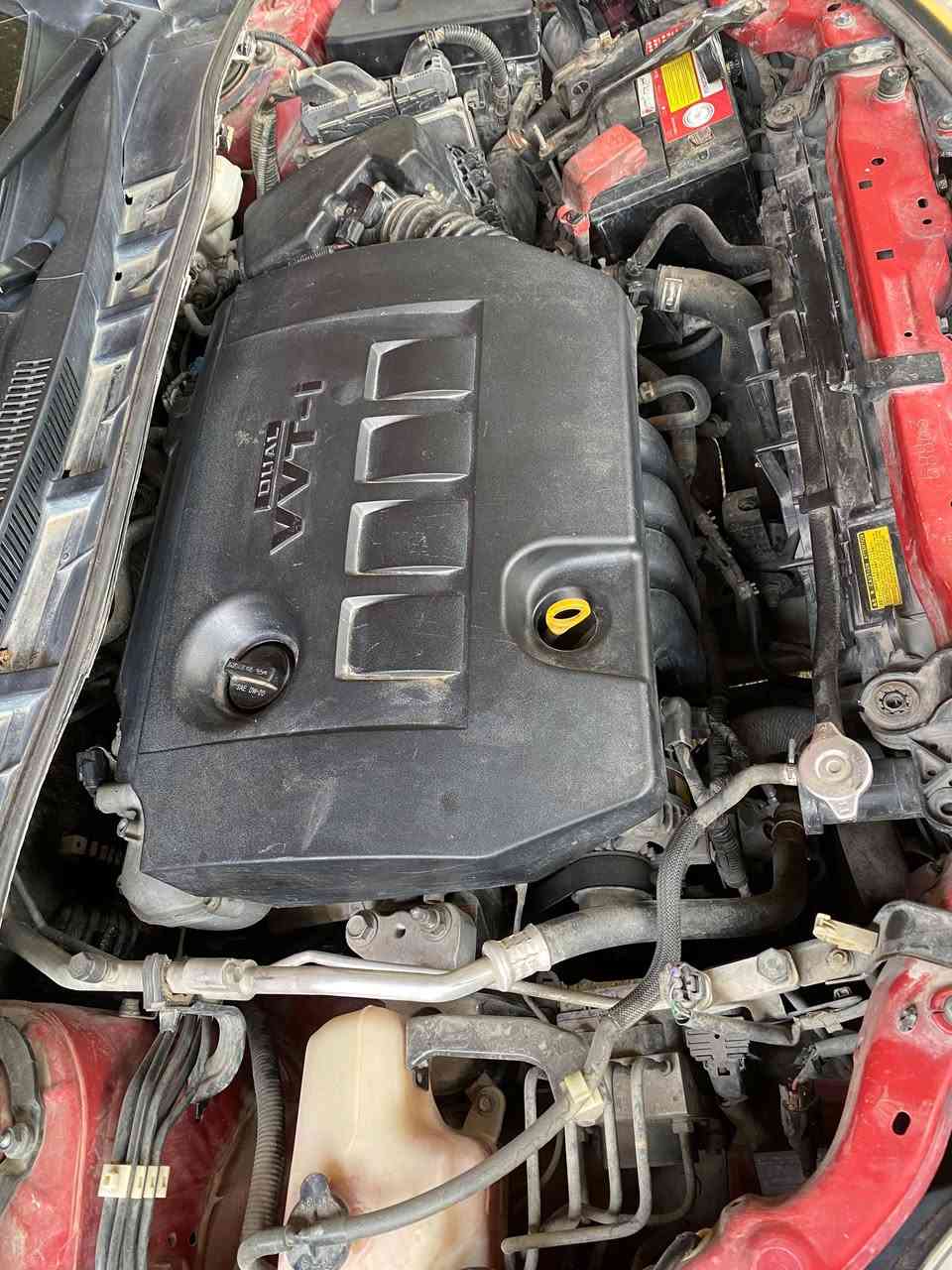 سلام عليكم كورله وارد امريكي كفاله عامه فقط ربع الدعاميه والمازده او مصلحه نفسه موديل ٢٠١٣ بغداد تحويل ثاني يوم ماشيه ١٢٧ ممشتقله تكسي بشرط السياره على وضع الشركه كفاله عامه السعر ١٢٥ او بيه مجال بسيط مكان السياره بغداد
ابو اغريب  وتساب ***********
