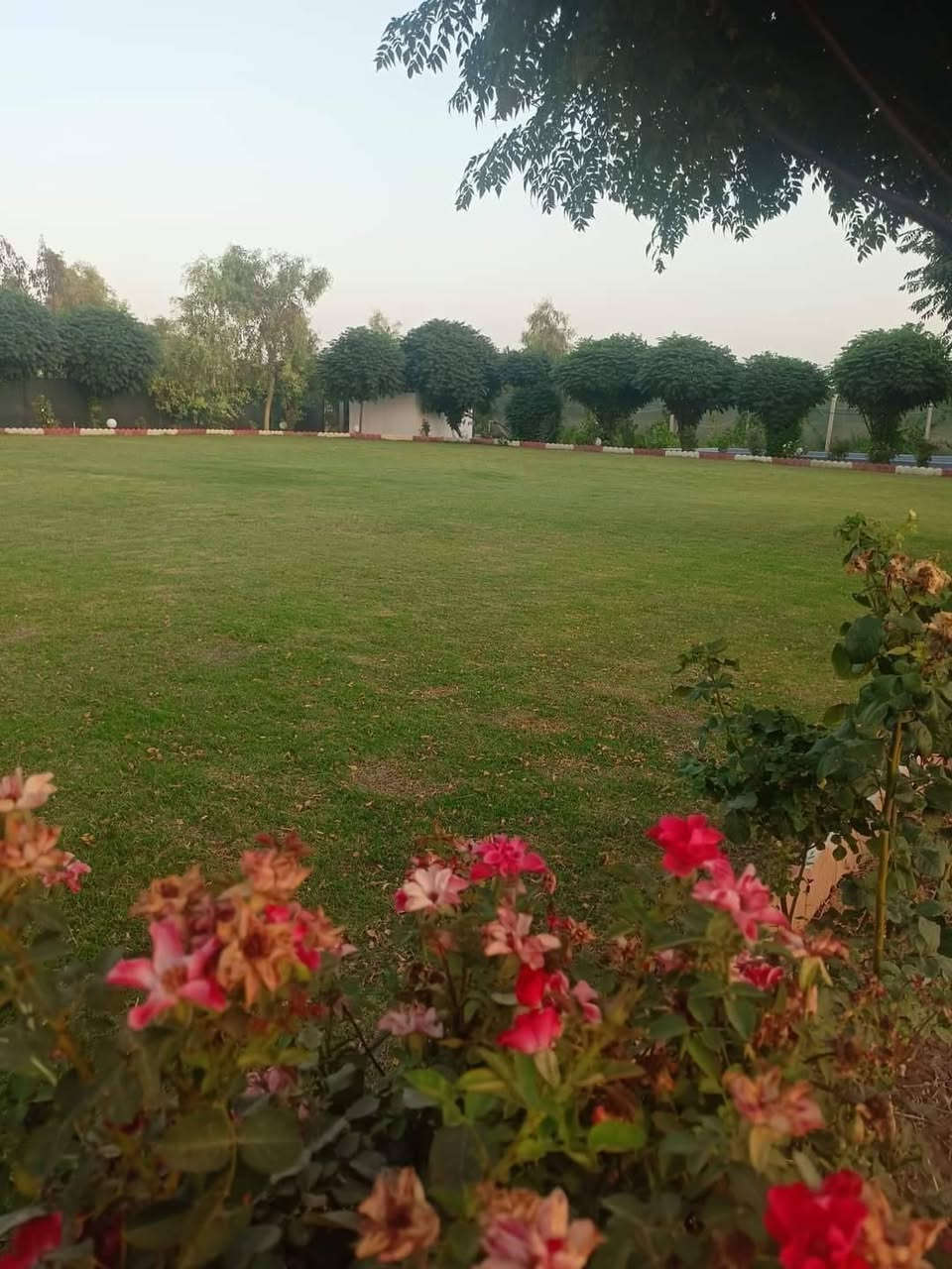 🌳✨ تريد مزرعة تطلع بيها سفرة ومكان مناسب للعائلة؟
لا تدور هواي… الحل عدنه 👇
🍎 مزرعة الرمانة
مكان راقي ومرتب يضمنلك راحة وخصوصية
✔️ جلسات عائلية مريحة
✔️ مساحات خضراء واسعة
✔️ مكان هادئ بعيد عن الإزعاج
✔️ مناسب للعوائل فقط
اجمع أهلك وأصدقائك وخلو يومكم ينعاش بأجواء طبيعية حلوة 🌿💚
📞 للحجز والاستفسار راسلنه خاص
مزرعة الرمانة… راحتكم تهمنا
 🌸
العوان خلف مطعم ميديا السياحي منطقة حه سار للحجز ***********
