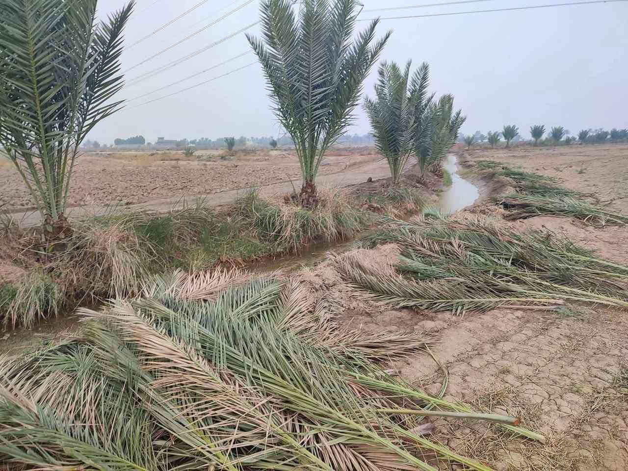 متوفر دوانم طابو سند 25 مخدومه 
سعر الدونم 25مليون
العنوان طريق حله نجف
للاستفسار ***********
