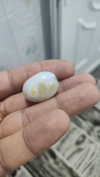 احجار قديمه • سعر خاص