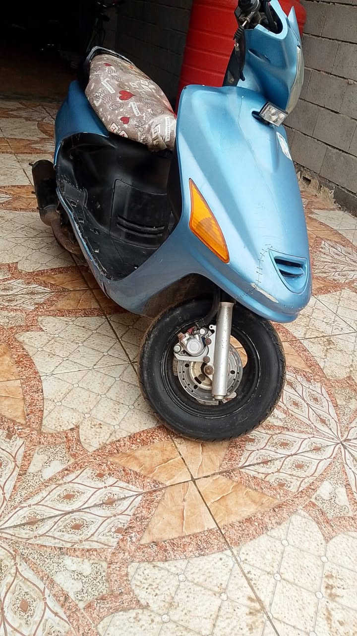 فراشه فحل للبيع
المكان البصره - الدير النشوه 

السعر 325

وبيه مجال

الاستفسار الاتصال على الرقم 

***********
