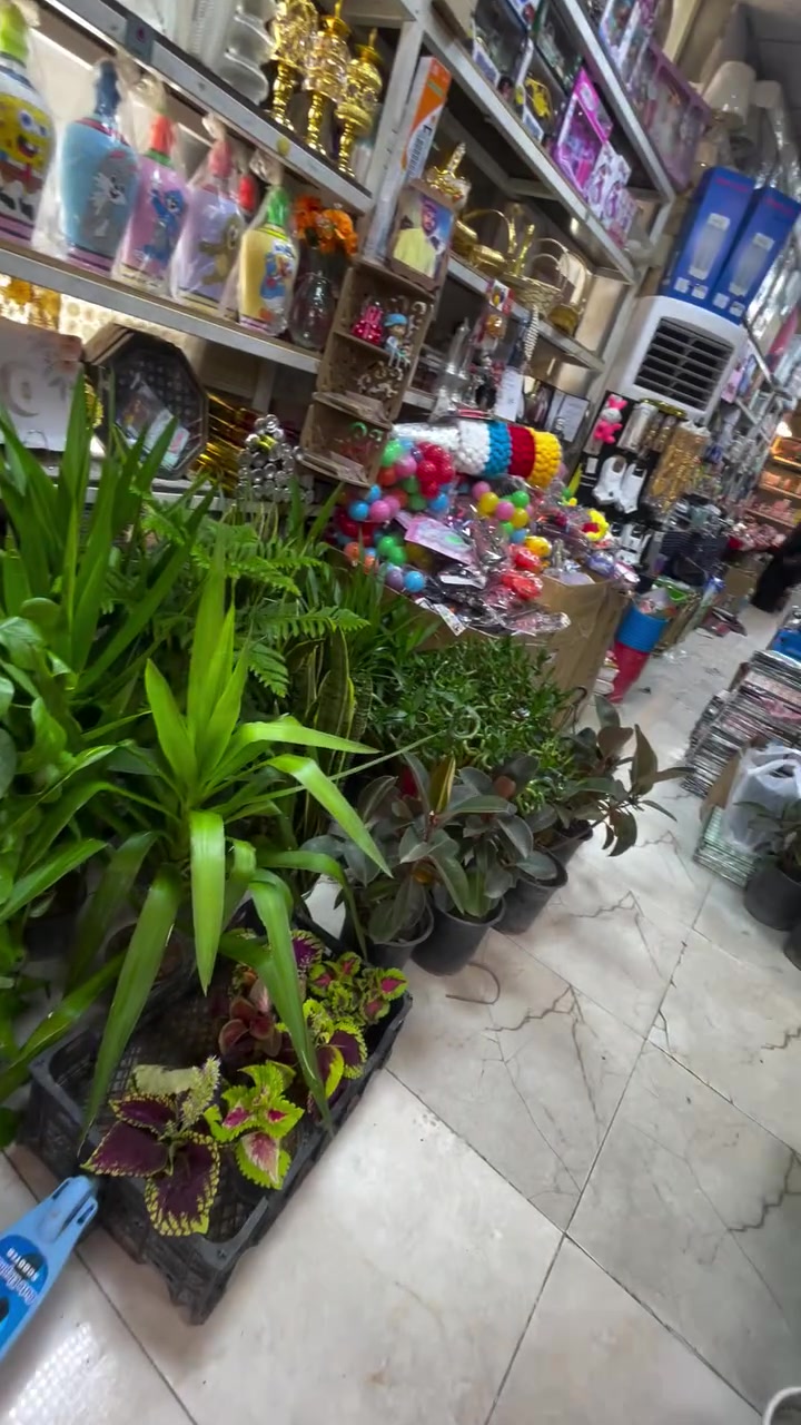 عروض مجمع جوليا. شارع أربعين 
بضاعه العيد واشياء بفلس ونص 
ننتظركم. 
توصيل مجاني 
من حسابي 
***********
***********
