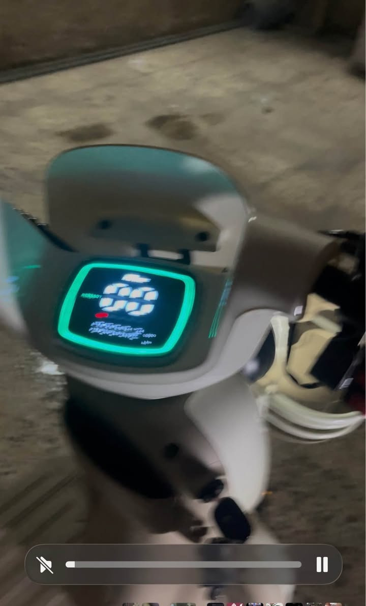 دراجة شحن ثلاث مقاعد بغداد, العراق


**إذا كنت صاحب هذا الإعلان وتريد حذفه لأي سبب، رجاءا أرسل رسالة إلى الدعم الفني**