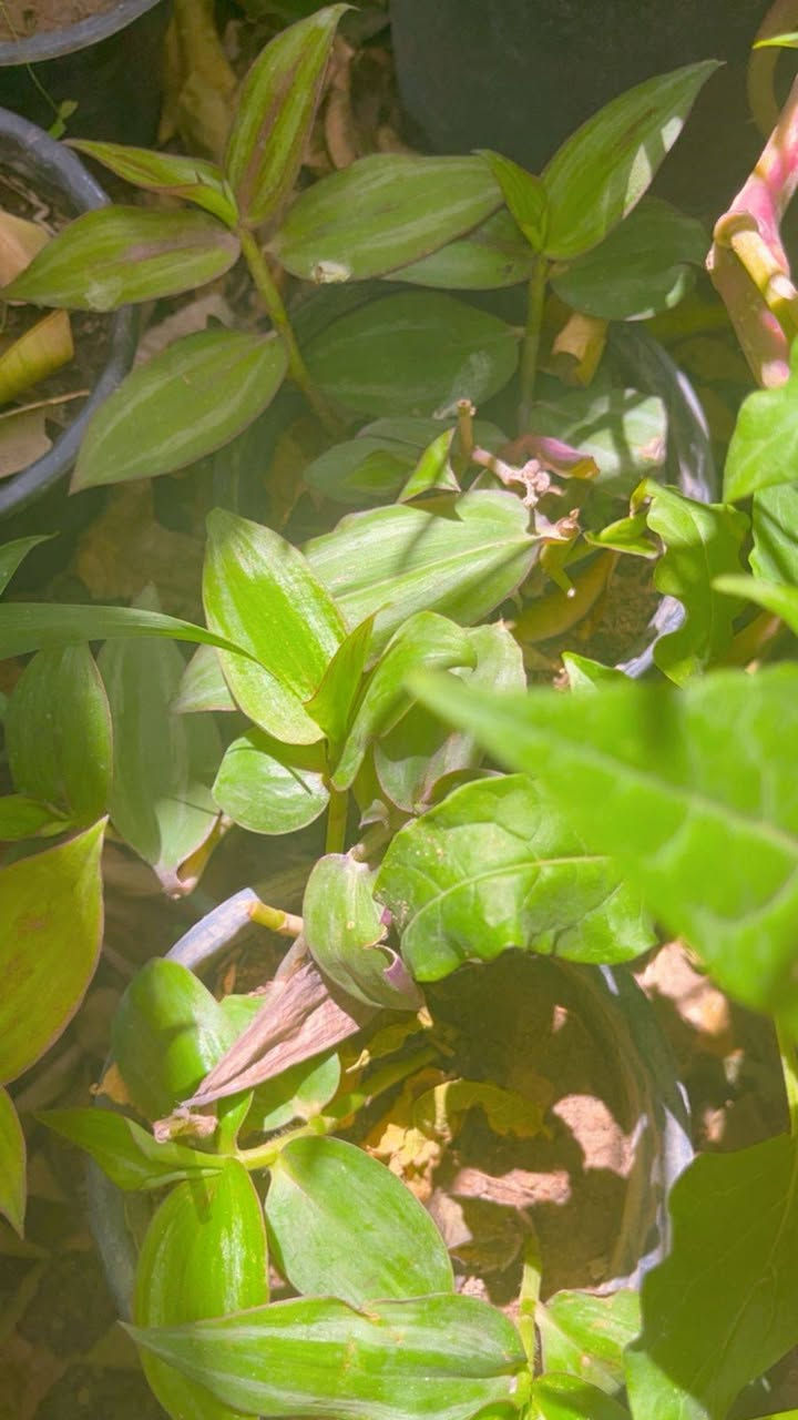 لطلب والاستفسار مراسلة الصفحه يوجد خدمة توصيل خانقين


**إذا كنت صاحب هذا الإعلان وتريد حذفه لأي سبب، رجاءا أرسل رسالة إلى الدعم الفني**