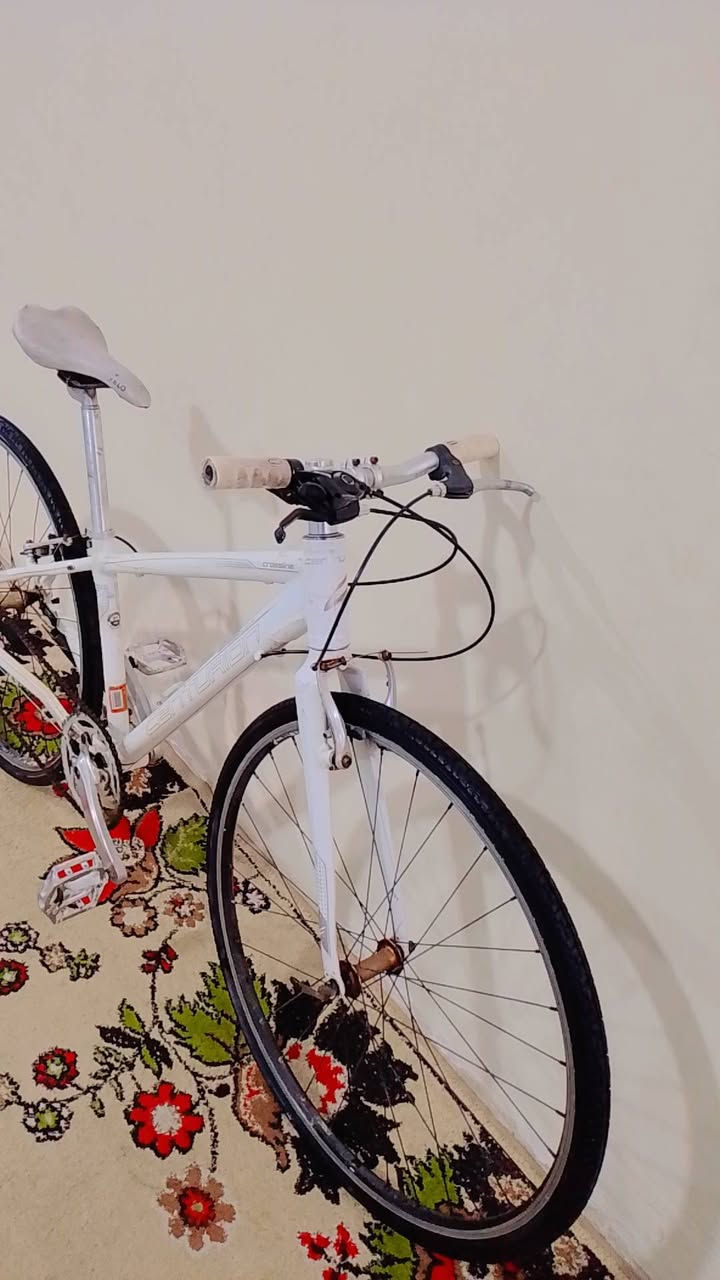 السلام عليكم بايسكل🚴((معدن المنيوم مقاوم للزنجار ))         c700 ماركة  CENTURIDN  
بايسكل جديد  كير 1/7 نمر 
حجمه 26🚴
ابريكات امامي خلفي شغالات 
كشن رياضي 
لون ابيض  
ويل الالمنيوم  سعره 75 وبي مجال 
مكاني بغداد مدينة الصدر الاستفسار علة الماسنجر او على الرقم ***********
