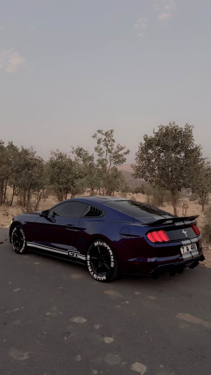 2015
بێ بۆیاخ بێ دەعمو لێدران 
6پستۆن
دەعامی بۆ دەعامی دارو بەردی بەشەرت
٩٠هەزار رۆیشتیە أربيل, العراق


**إذا كنت صاحب هذا الإعلان وتريد حذفه لأي سبب، رجاءا أرسل رسالة إلى الدعم الفني**