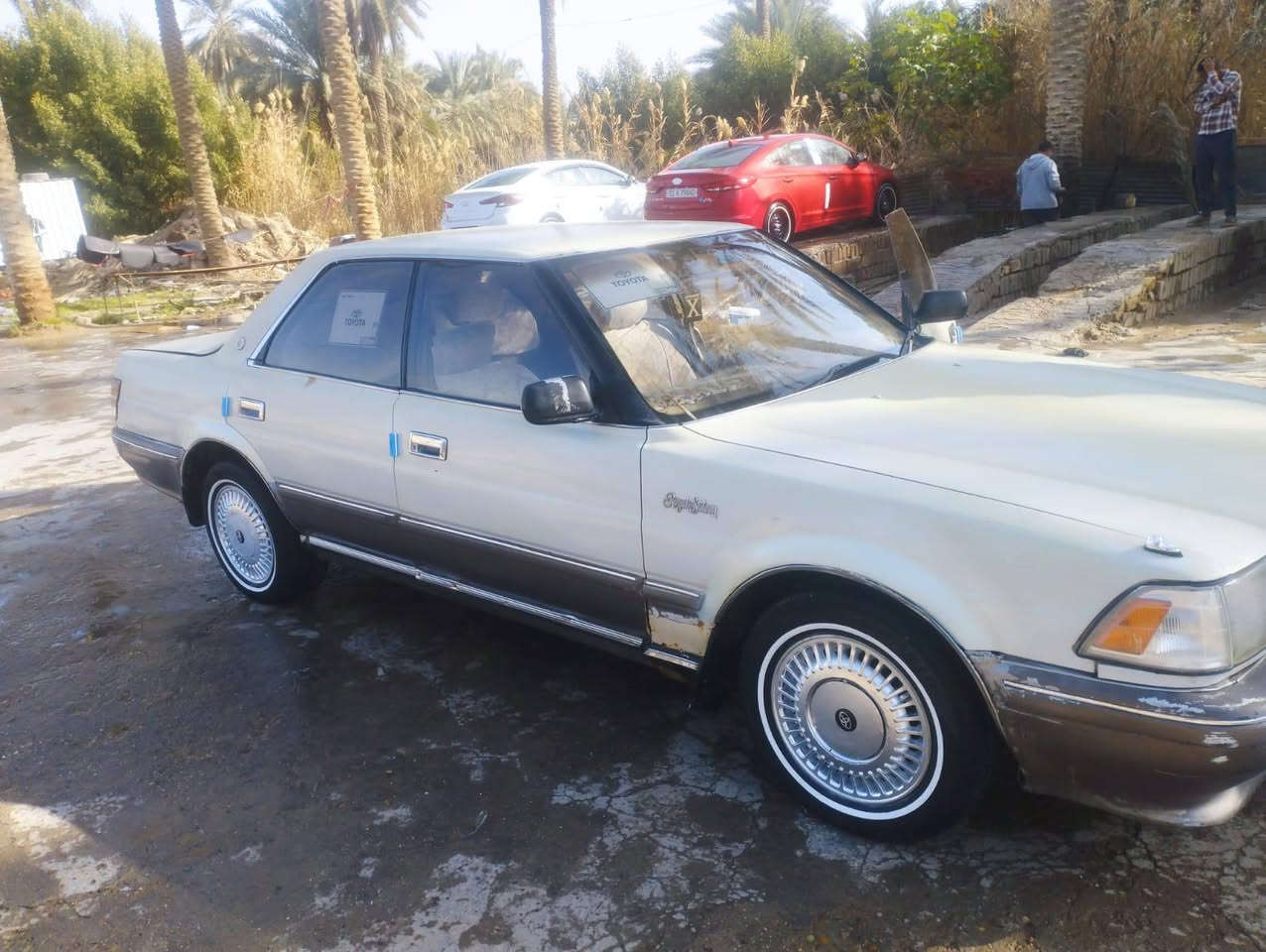 سلام عليكم ورحمة الله وبركاته من رخصة الادمن المحترم والاعضاء الكرام هارتوب للبيع والمراوس حسب القناعه موديل 1991رقم انبار بسمي شخصين مكفوله من الكص اونقل الجثه والصربه والكلبه سياره جاهزه كمينه كير حداديه كهربائيّة تخم تاير باتري شغال وين ميعجبك اطلع تراي الرون والكيلو متر فجه وكفن عدي سياره مال جناي السعر42اوبيهه مجال قليل حك الجيه والشراي بي خير اويدلل الرقم ***********الرقم الثاني الاثير بي واتساب ***********متواجد ع الفيس تحياتي للجميع
