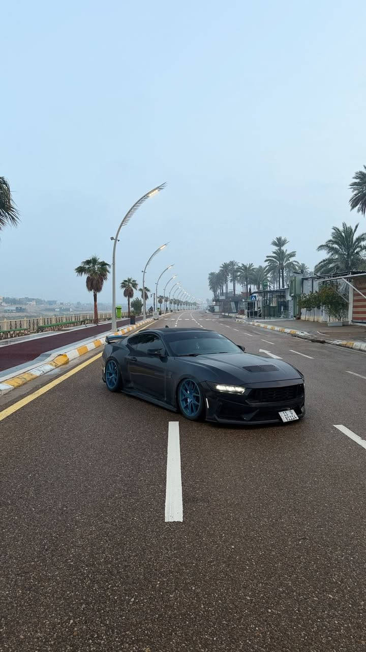 الجميلة للبيع🖤🖤🖤
فورد موستنـك GT 👽🛸
الموديل: [ 2024 ]
المحرك: [ V8 / 5.0 ] 🔥
الگير: [ أوتوماتيك ]
الممشى: [20.000km ]
اللون: [ اسود  ] 
الحالة: [حادثها جامرلغ +بنيد  ]

[ الـــــمـــواصــفـــــات ]

- شاشة متصلة 
- كار بلي 
-  تحديد مسار 
- توقف ذاتي 
- رادارات امامية وجانبية وخلفية 
- مقاعد جلد + مخمل 
- مقاعد تدفئة +تبريد
- والسيارة بيهـا بعد هـوايه مواصفات 

[ الاضـــــــافــــــاات ]
- چكات ستيج 3 🔥
- ويل 20 جديـد ڤوسن🔥
- تخم تاير ( اصلي ) 🔥
- السيارة كت بالكامل دارك هورس 🔥
- لايتات ( اصلية ) دارك هورس 🔥
- ⁠جنح دارك هورس 🔥
- ⁠بطاين اماميات  وكالة جديدات 🔥
كزوزات كورسا اكتف🔥 
⁠

الموقع: [ ديالى بعقوبة ] 📍

باسمي ثاني يوم تحويل 

للتواصل واتس اب او اتصال : [ *********** ]

#فورد #موستنك #دارك_هورس #للبيع
