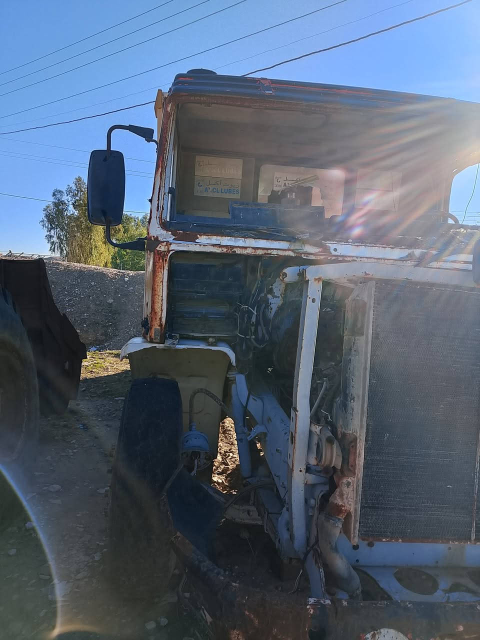 كلاب اسكانيا لبيع استفصار من هذا رقم ***********
