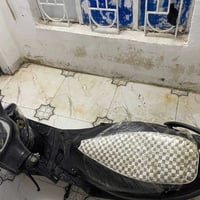 ماكس عدلة • نضيفة • كرمة علي