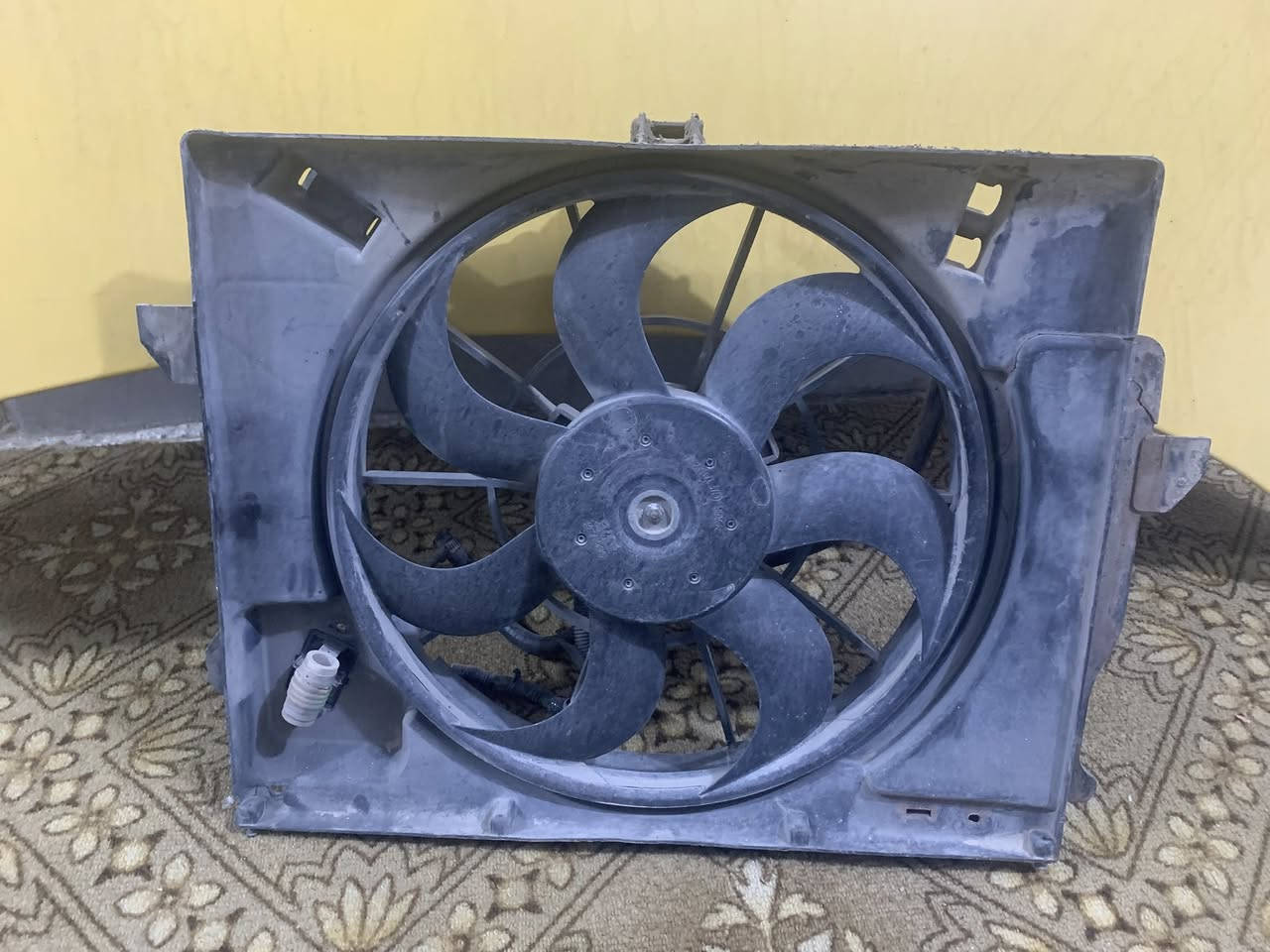 دوات كسنت للبيع نوزلات يخبلن مجاول تفصيخ صطاب كسل كامل هوه وقمجياته وعنابيره كله كامل للبيع اذا شلع بيعهن اب ٨٠ وكلمن وسعرهه اذا مفرد مكاني جسر دياله بغداد ***********
