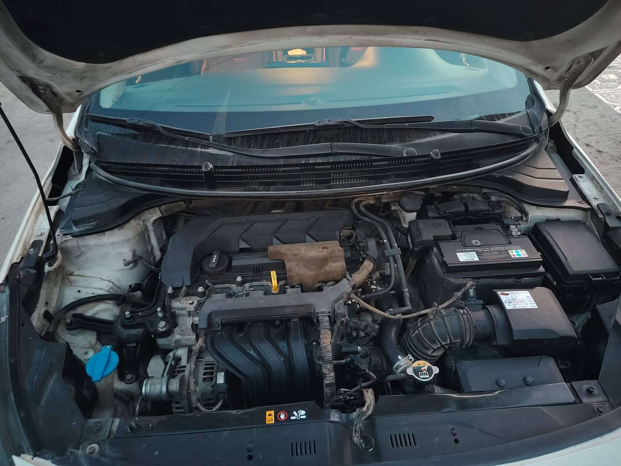 كيا ريو S موديل 20 باسمي دهوك هزه جديده سنويه لل 31 .  محرك 16 دوش ماامفتوح كير شرط 
3 قطع تبديل بدون دواخل كابون بانزين ..

السعر 115 وبيها مجال بيع او مراوس افانتي تكسي 

*********** . الخاص مفتوح
